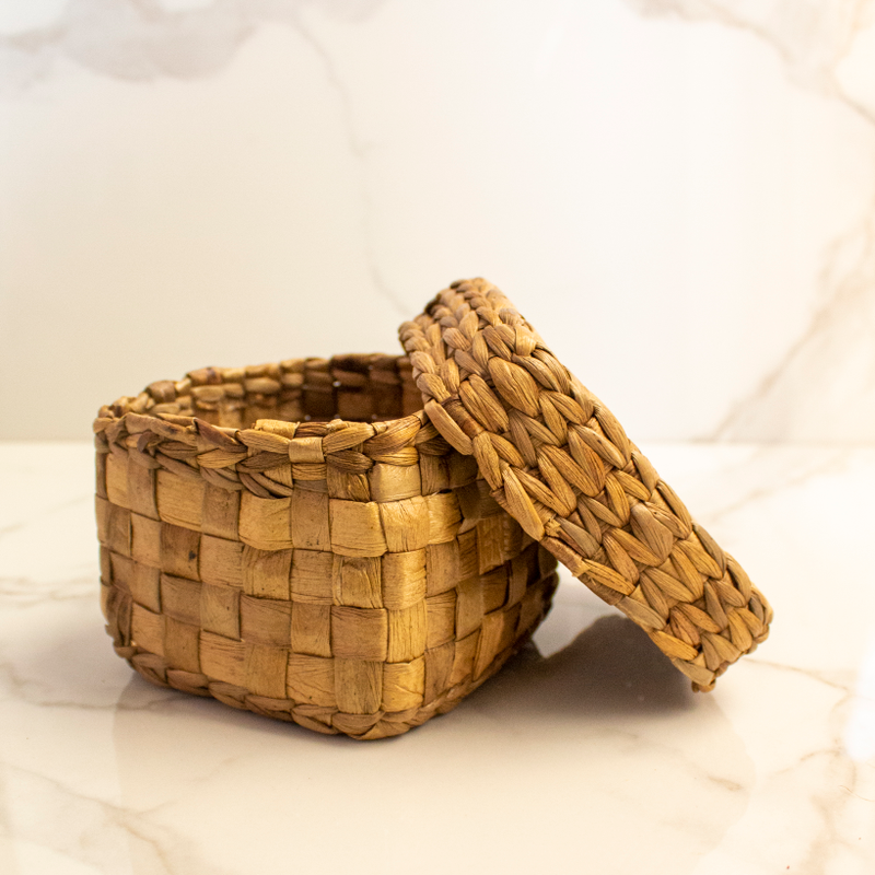 572ae117-9e90-4625-aa96-f812a497875d_830fd47a-1078-4f5c-a411-e1420fa5dd7b-4x